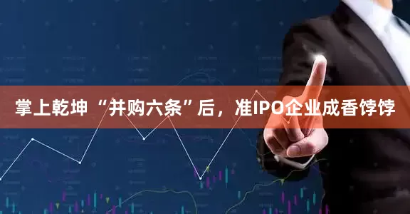 掌上乾坤 “并购六条”后，准IPO企业成香饽饽