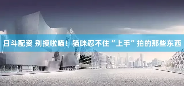 日斗配资 别摸啦喵！猫咪忍不住“上手”拍的那些东西