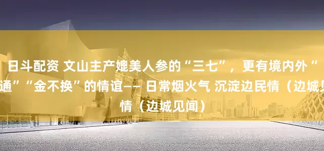 日斗配资 文山主产媲美人参的“三七”，更有境内外“心相通”“金不换”的情谊—— 日常烟火气 沉淀边民情（边城见闻）